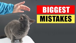 20 Common Mistakes Cat Owners Make [upl. by Ecnatsnoc]