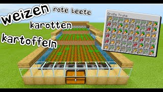 Minecraft Weizenfarm bauen 116 einfach  Minecraft Weizen Kartoffeln Karotten Rote Beete anbauen [upl. by Redna]