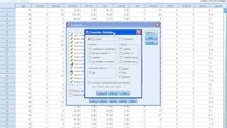 SPSS Tutorials Cross Tabulation [upl. by Primalia756]