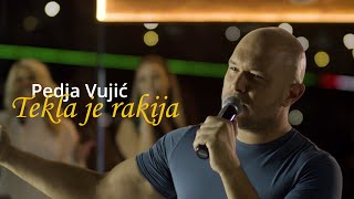 Pedja Vujic  Tekla je rakija  Bekrija Cover 2021 [upl. by Bil455]