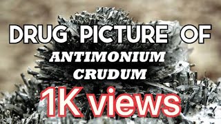 Drug picture of Antimonium crudum [upl. by Almeeta]