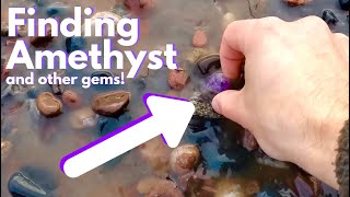 Beachcombing for AMETHYST AGATES and FOSSILS [upl. by Singhal]