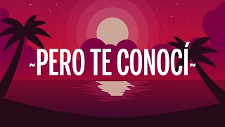 Reik  Pero Te Conocí LetraLyrics [upl. by Talanian]