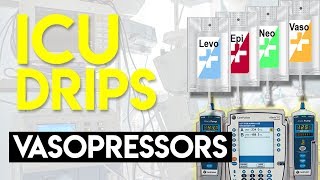 Vasopressors Part 1  ICU Drips [upl. by Ellie]