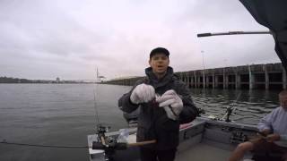 Spring Chinook Salmon Rigging a whole Herring [upl. by Kilbride]