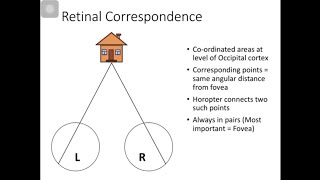 Diplopia vs Confusion [upl. by Sabir]