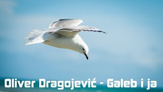 Oliver Dragojević  Galeb i ja HD [upl. by Dominus]