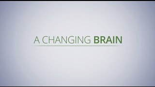 Brain Changes and Dementia [upl. by Enihpled711]