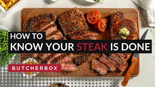 From Rare to WellDone Meat Temperatures for Perfect Steaks [upl. by Vaughan424]