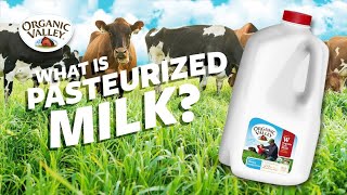 What is Pasteurized milk  Ask Organic Valley [upl. by Elodea95]