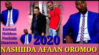 New Nashida Afaan Oromoo Kamaal Hebboo 2020 [upl. by Udall]