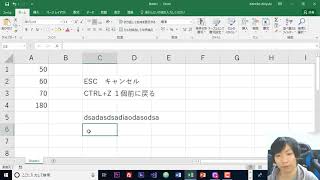 Excel 「CTRLZ」と「ESC」のショートカットキーの違いについて [upl. by Wollis229]