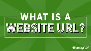 What Is A Website URL [upl. by Antoni]