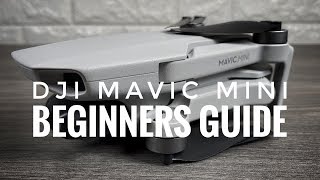 DJI Mavic Mini Beginners Guide  Getting Ready For First Flight [upl. by Partan]