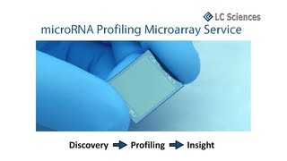 microRNA Microarray Service [upl. by Enirhtak164]