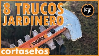 CORTAR SETOS LOS MEJORES TRUCOS DE JARDINERO VICTORIANO CURSO de JARDINERIA con Recicleitor [upl. by Nodnarbal]