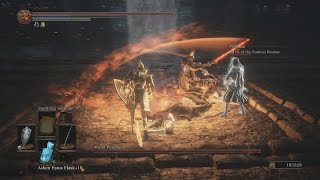 Dark Souls III Abyss Watchers with Sirris of the Sunless Realms [upl. by Netsoj949]