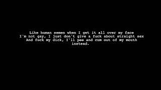 Jon Lajoie  Fuck Everything Lyrics  IceLyricsTV [upl. by Findlay]