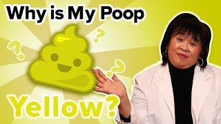 Why Is My Poop Yellow [upl. by Bevvy]