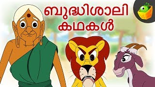 ബുദ്ധിശാലി കഥകൾ  Clever Stories For Kids  Moral Stories  Magicbox Malayalam [upl. by Haily]