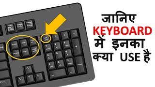 Every Computer User Must Know the Use of These Keys on Computer Keyboard [upl. by Ecnarepmet349]