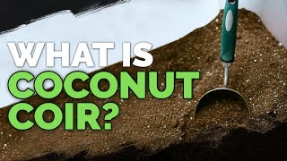 Coconut Coir What it is and How To Use It In The Garden [upl. by Sonitnatsnok]