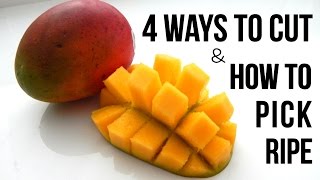 4 BEST WAYS TO CUT MANGO FAST [upl. by Yerkovich572]