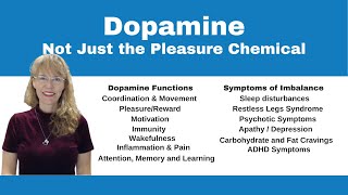 Demystifying Neurotransmitters Serotonin Dopamine and Beyond [upl. by Erny]