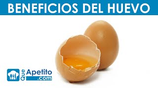 8 Propiedades y Beneficios del Huevo  QueApetito [upl. by Jefferson]