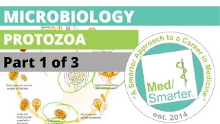 Protozoa  Microbiology  USMLE STEP 1  Part 1 of 3 [upl. by Eniluap194]