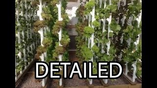 How to  Detailed Vertical Hydroponics [upl. by Buckley]