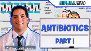 Antibiotics Cell Wall Synthesis Inhibitors Part 1 [upl. by Adamina]