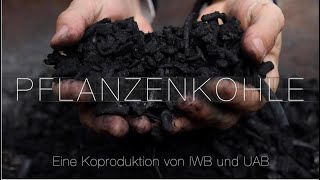 Pflanzenkohle in der Anwendung  Eine Koproduktion von IWB und UAB [upl. by Ronalda]