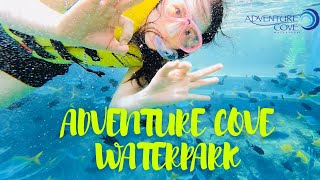 Adventure Cove Waterpark Singapore  Sentosa Island  4K 2021 [upl. by Darcia]