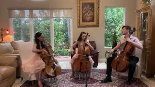 Schubert SERENADE on Three Cellos [upl. by Iives]