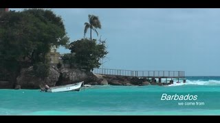 Beaches of Barbados [upl. by Ihtak]