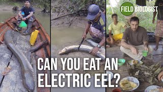 Can you eat an electric eel [upl. by Naxela]