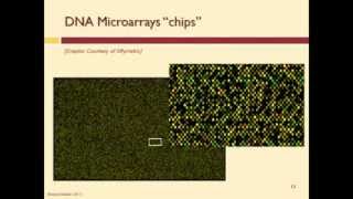 How Does a DNA Microarray Work [upl. by Venice]