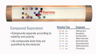 How GC Columns Work [upl. by Sairacaz870]