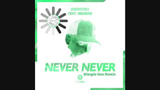 Drenchill amp Indiiana  Never Never Remix [upl. by Eeryk]