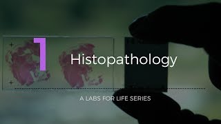 Histopathology [upl. by Clerc204]