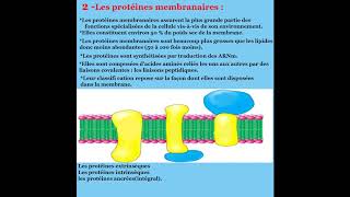 Cours de Biologie cellulaire  membrane plasmique [upl. by Yecnahc]