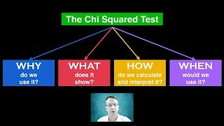 Chi Squared Test [upl. by Adlare243]