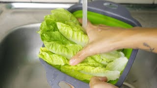 How to Wash Romaine Lettuce [upl. by Ahders]