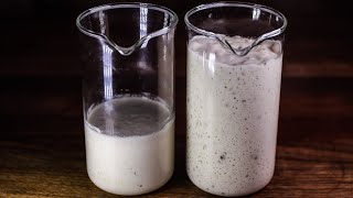 How to Make a SOURDOUGH Starter  Detailed Instructions for Guaranteed Success [upl. by Paluas10]