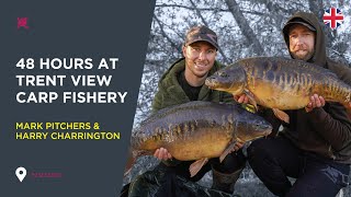 Carp Fishing at Trent View Fishery Mark Pitchers amp Harry Charrington [upl. by Gilcrest156]