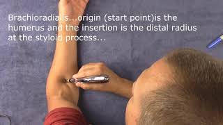 Meridian Pen Electric Acupuncture pen and how it works [upl. by Wilhelm]