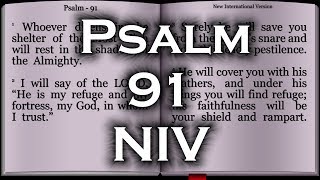 Psalm 91  New International Version NIV [upl. by Christi926]