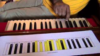 201 Harmonium Lessons for Beginners [upl. by Lavona]