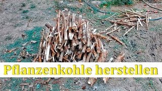 Pflanzenkohle selber herstellen im ErdKonTiki  einfach nachgebaut [upl. by Annabela]